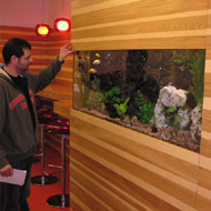 Falba épített akvárium 1. 